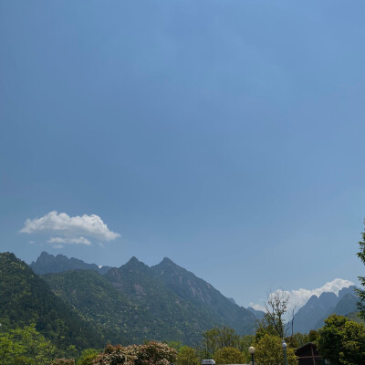 跟姐姐一块去的黄山真的绿水青山就是金山银山！喜欢那里的山 空气也好好 住了房车营地 吃了烧烤 烧了大锅饭虽然我也啥也没烧饭吃了两碗 晚上篝火晚会 第二天去了芙蓉谷 坐了绳索 水好清澈 有机会还要去爬山！