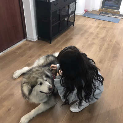 拿图吱声二转注明