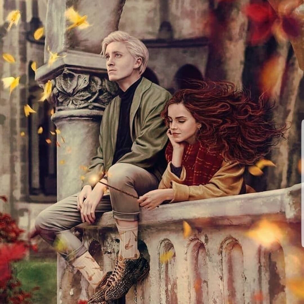 哈利波特 德赫 手绘
Hermione Granger, Emma Watson; Draco Malfoy, Tom Felton