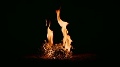 橙光场景剧情素材
禁二传二改，抱图收藏