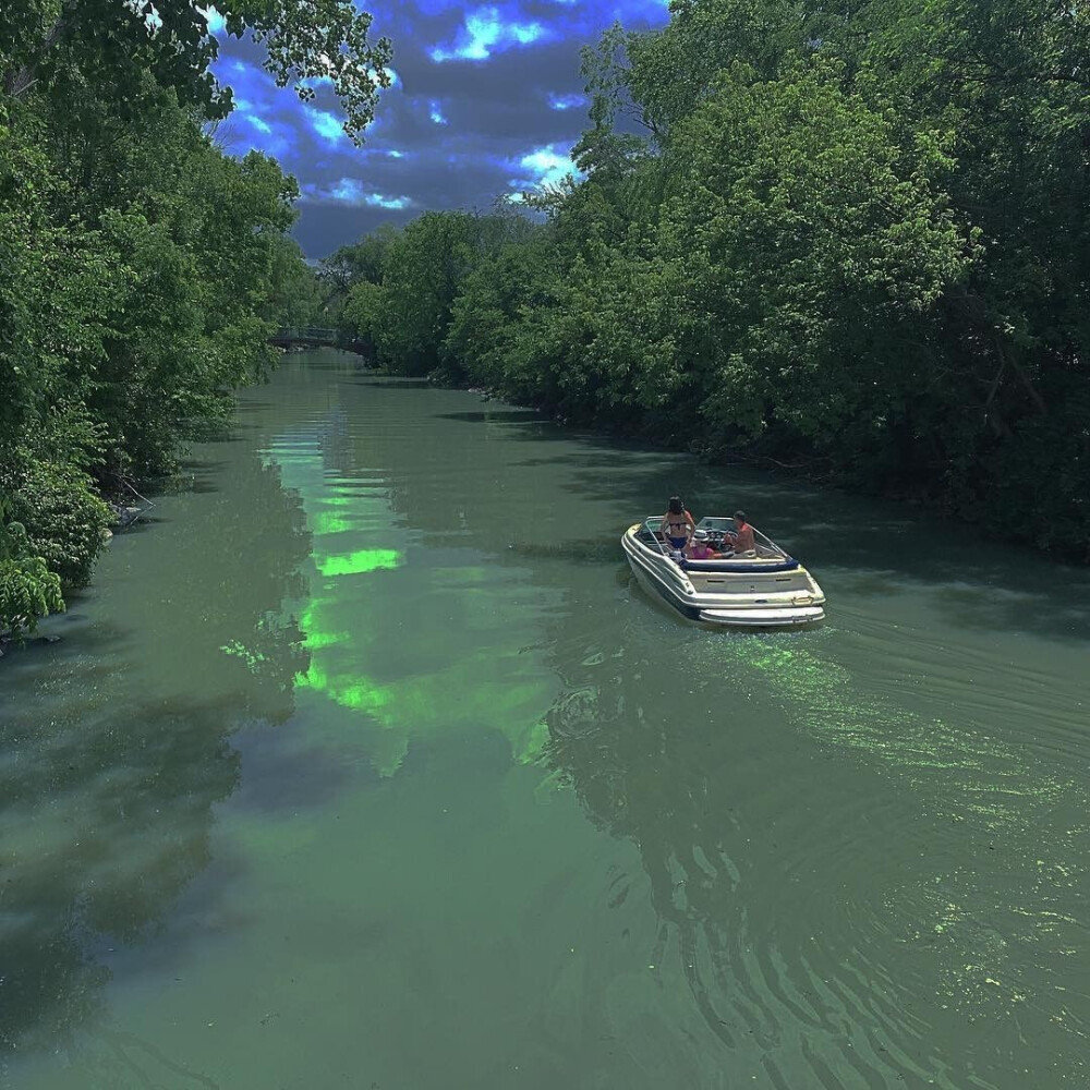 “在夜里等太阳 越等越失望”