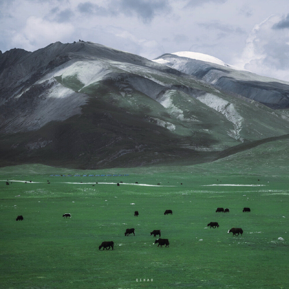 “在夜里等太阳 越等越失望”