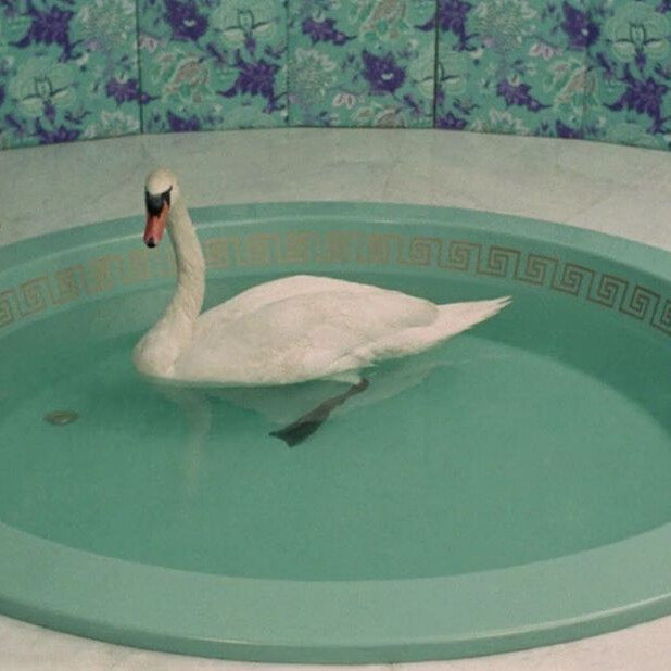 “在夜里等太阳 越等越失望”