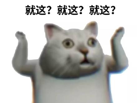 憨憨猫表情包.