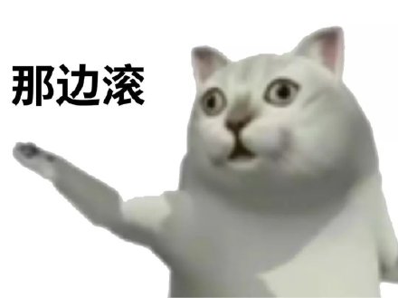 憨憨猫表情包.
