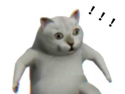 憨憨猫表情包.