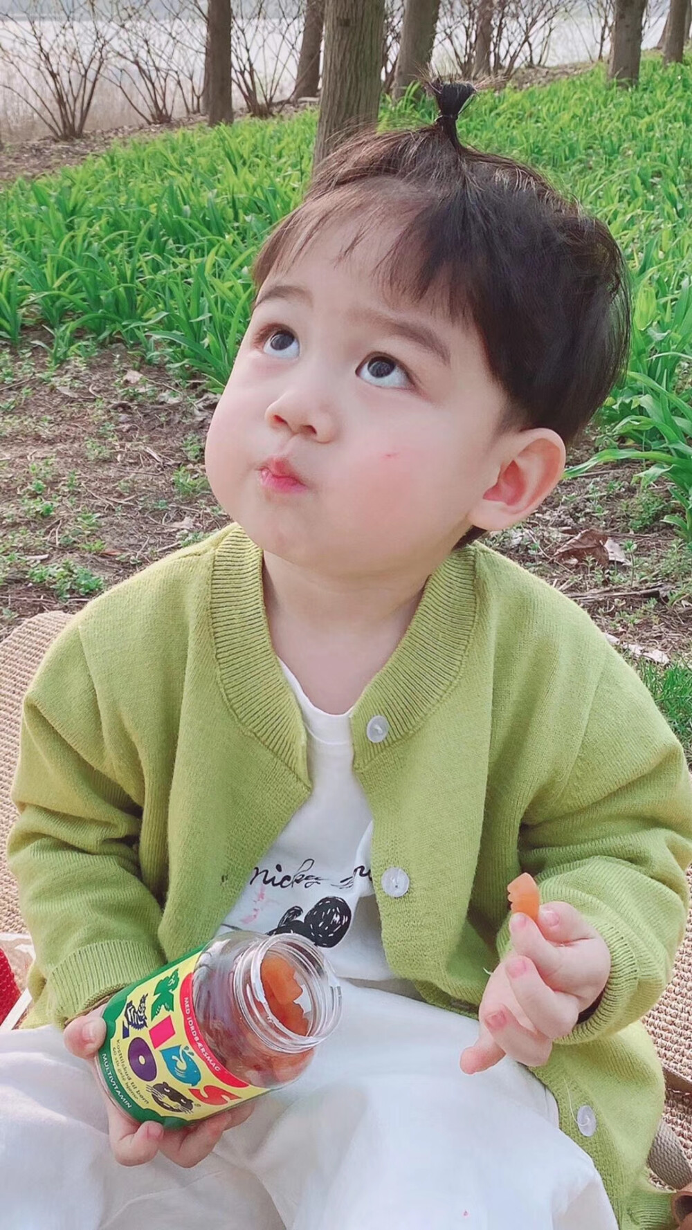 大q宝可爱萌娃壁纸