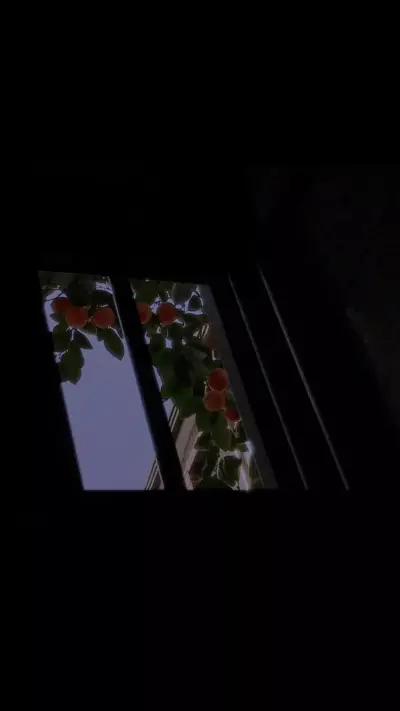dark