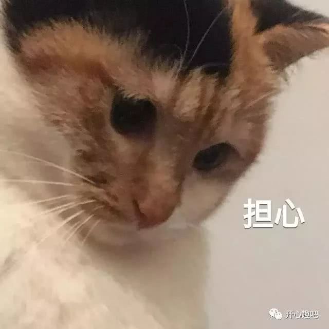 表情包