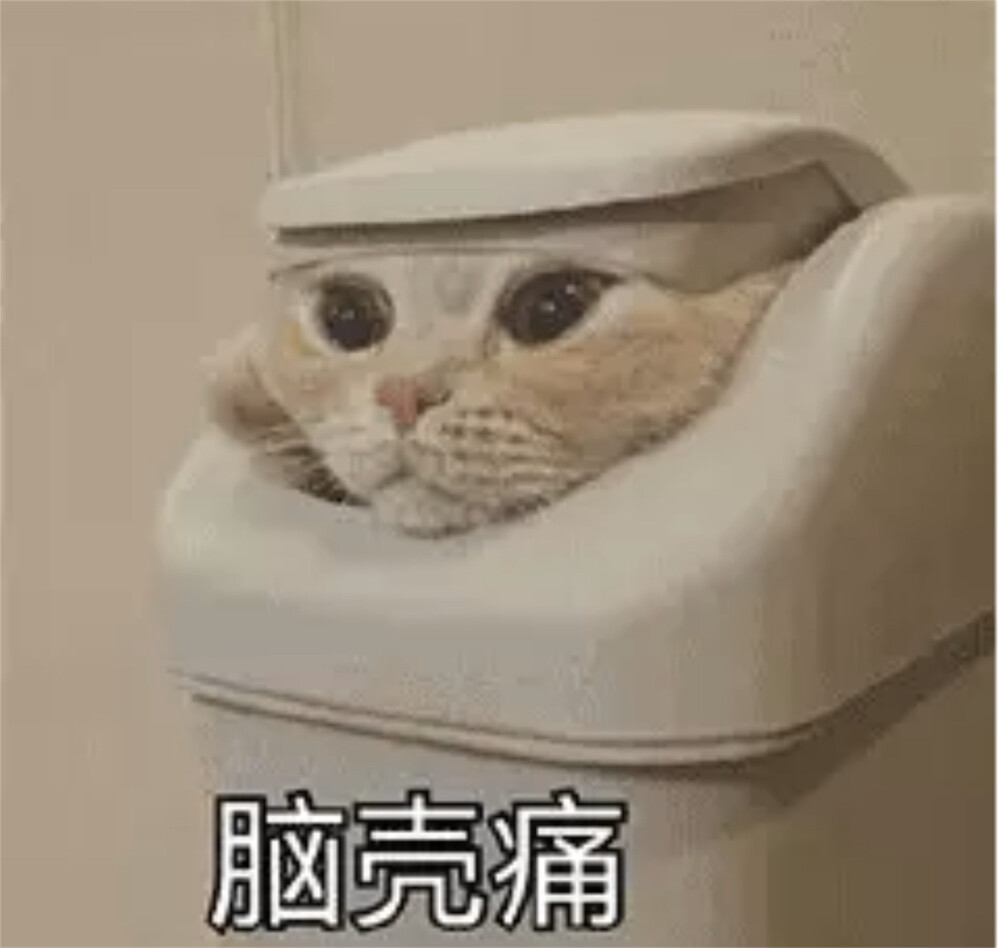 猫猫表情包 脑壳疼 垃圾桶猫头