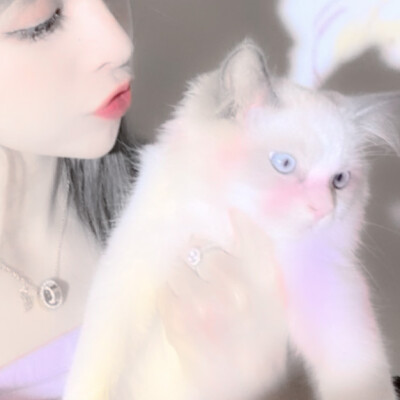 二传注明堆糖占课