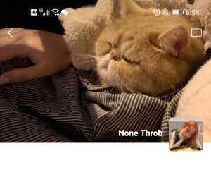 那些短暂又不诚恳的喜欢，你不如不要和我表达