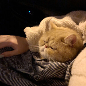 那些短暂又不诚恳的喜欢，你不如不要和我表达