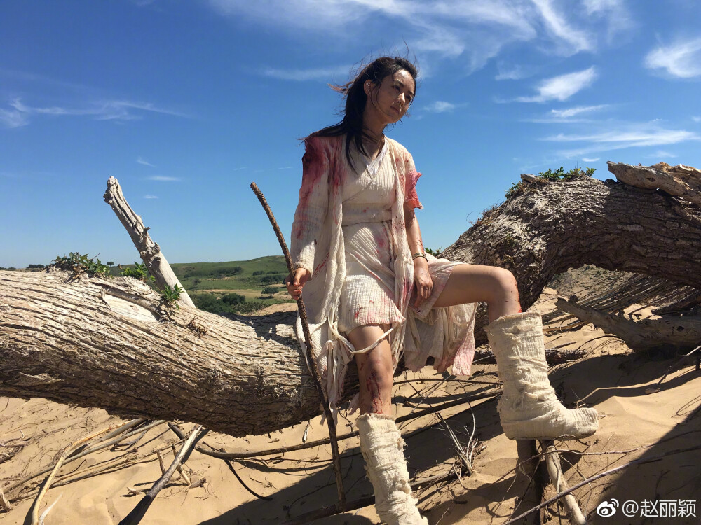 楚乔传
赵丽颖 饰 楚乔/星儿/荆小六