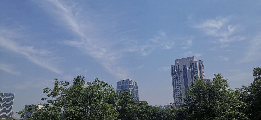 4月29日上午，艳阳高照，晴空万里。在吉安城区上空出现了一朵朵长长的像羽毛似的云朵，在蔚蓝色的天空映衬下显得格外美丽，壮观景象让人惊叹。（摄/肖勇）