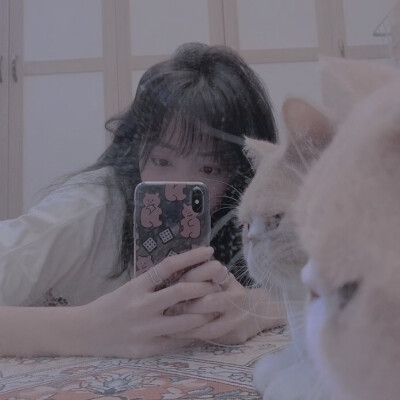 二传注明堆糖蓦晦