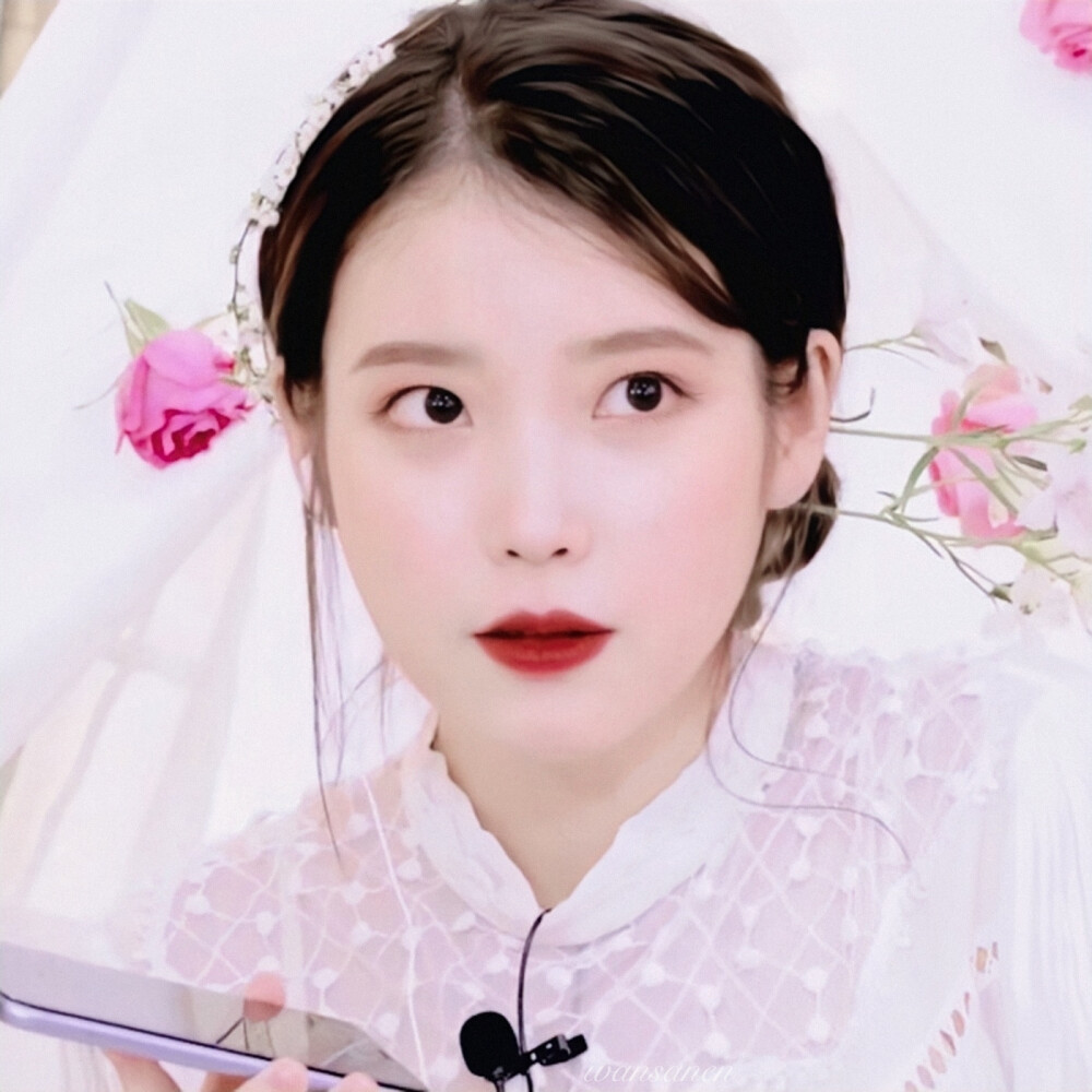 IU 与 花
dt完三恩