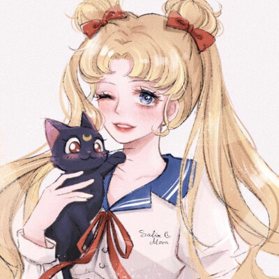 美少女战士 画师Venvenbaby 月野兔Sailor Moon