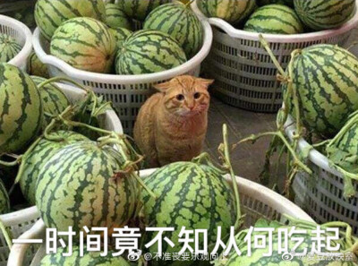 傻雕头像