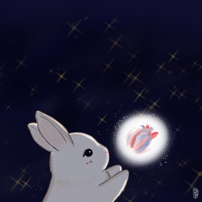 肖战小飞侠光点