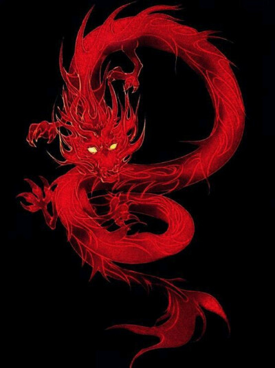 晓泊 