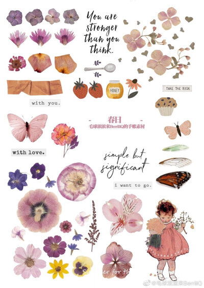 by 毛球滚滚来BerriiiQ