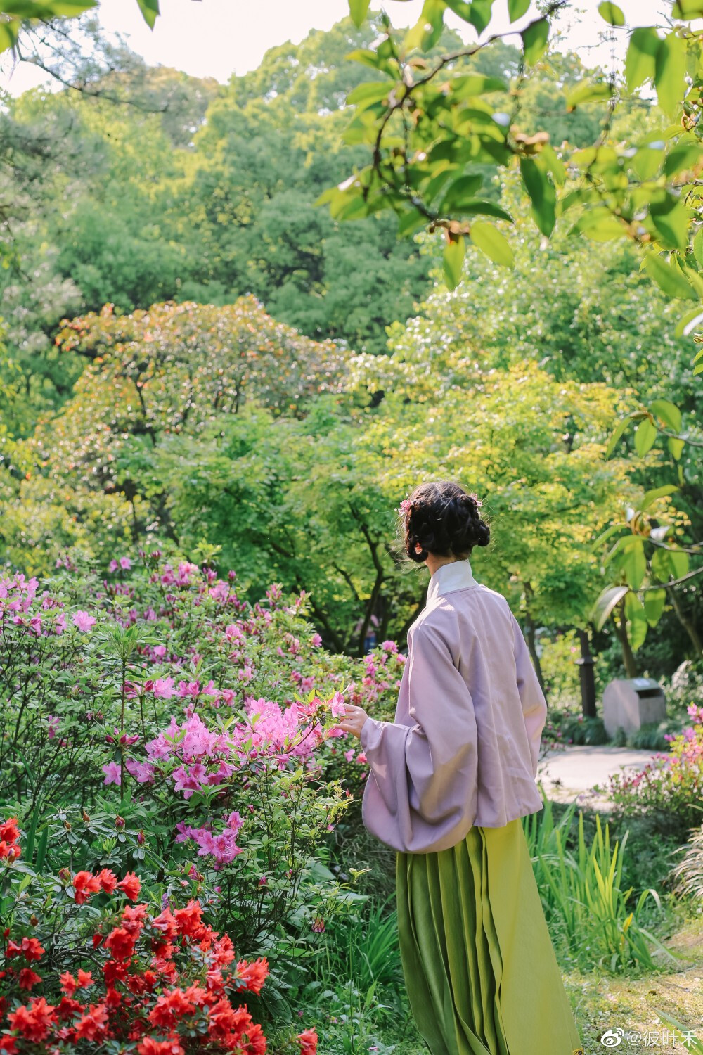 庚子年春·三月二十·于杭州植物园
交领：@明华堂
马面：@后物堂 ​​​
cr@彼叶禾