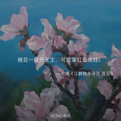 MONO海报