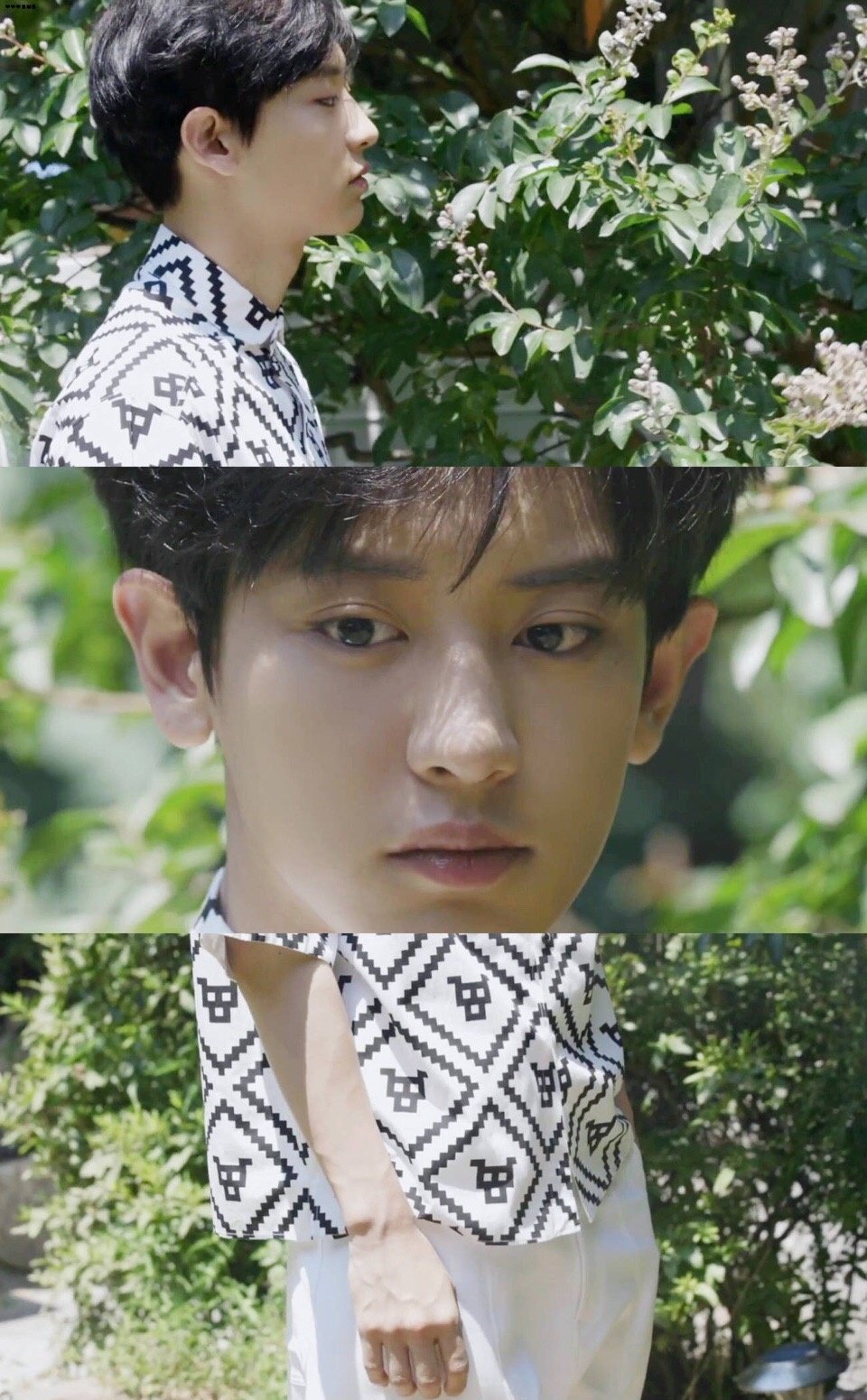 朴灿烈 Park Chanyeol