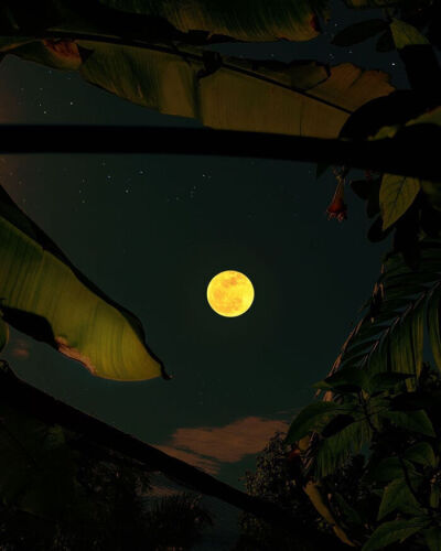 夜空藏星，云朵藏雨，这善变不离其中的世界里，难得有你。