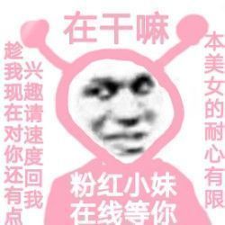 一个系列的都来了啊！！