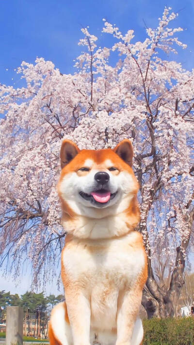 来自百度，侵删