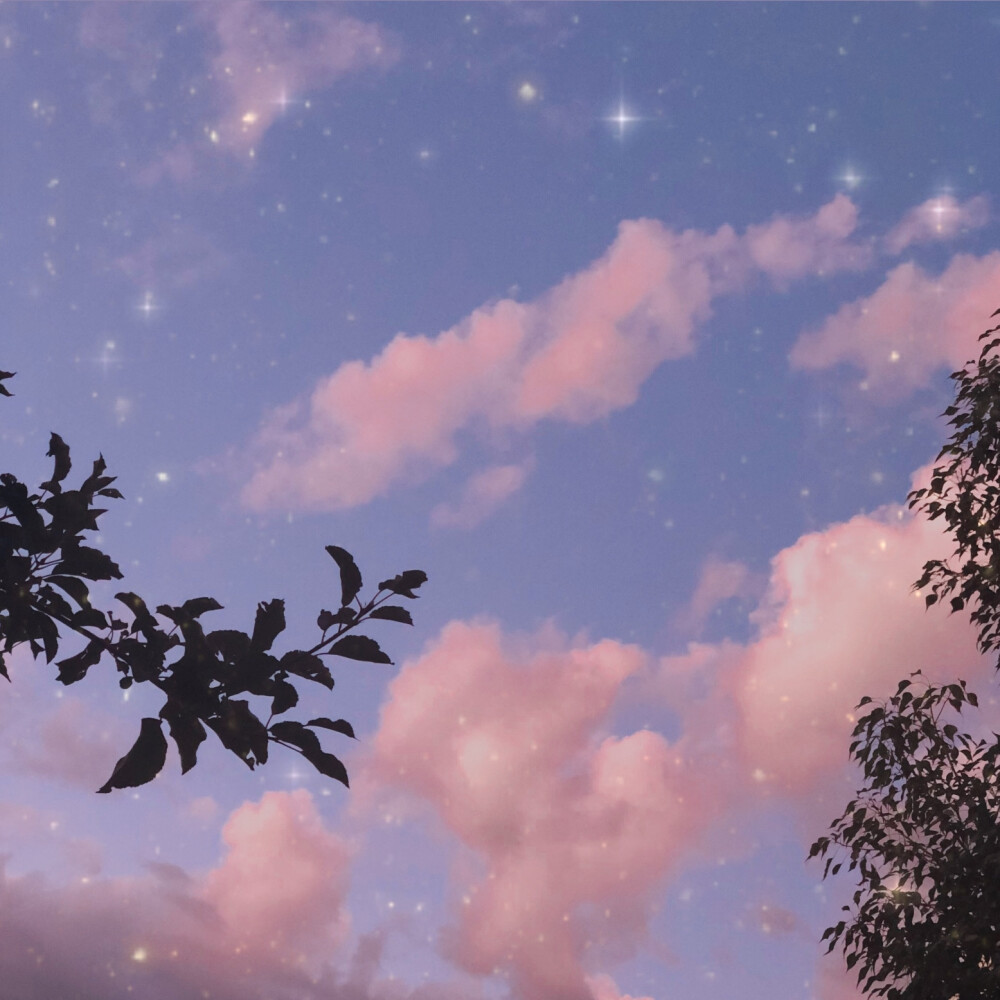 图源黄油相机。