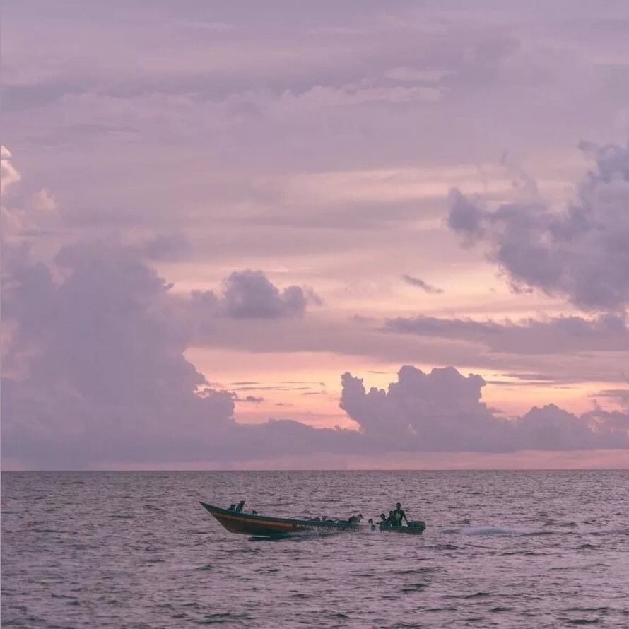 图源黄油相机。