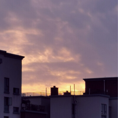 图源黄油相机。