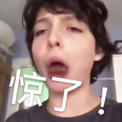 Finn Wolfhard·