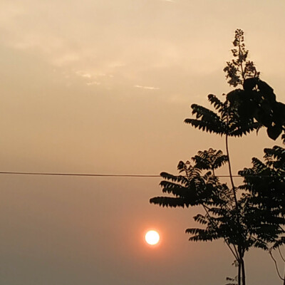 太阳在温暖着 我们正在努力着 未来正在期待着 此刻我们年轻 阳光免费 山河广袤