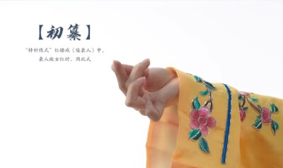 转自抖音，自截，戏曲手势