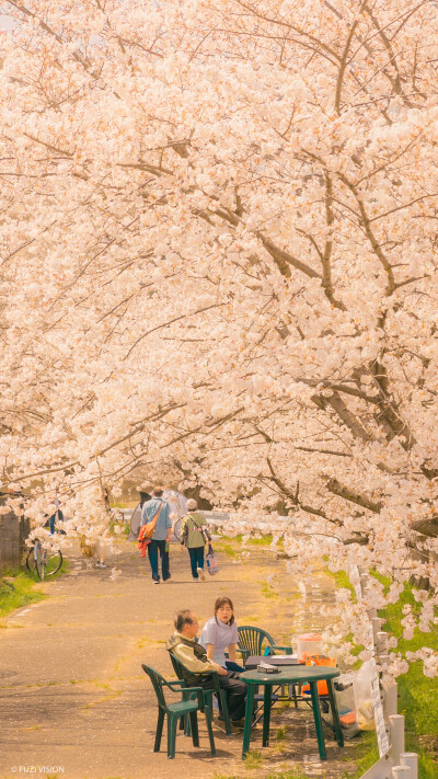 春日限定