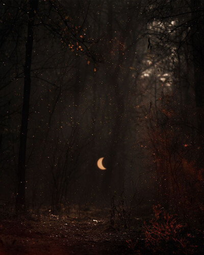 ᴸⁱⁿ ʸᵘᵗᵃⁿᵍ ˢᵃⁱᵈ: ⁱᵗ ⁱˢ ᵇᵉᵗᵗᵉʳ ᵗᵒ ᵍⁱᵛᵉ ᵘᵖ ʷⁱˢᵉˡʸ ᵗʰᵃⁿ ᵗᵒ ᶜˡⁱⁿᵍ ᵇˡⁱⁿᵈˡʸ.
林语堂说：明智的放弃胜过盲目的执著。 ​​​