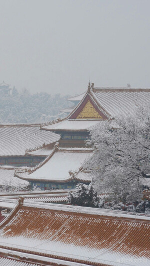 雪景