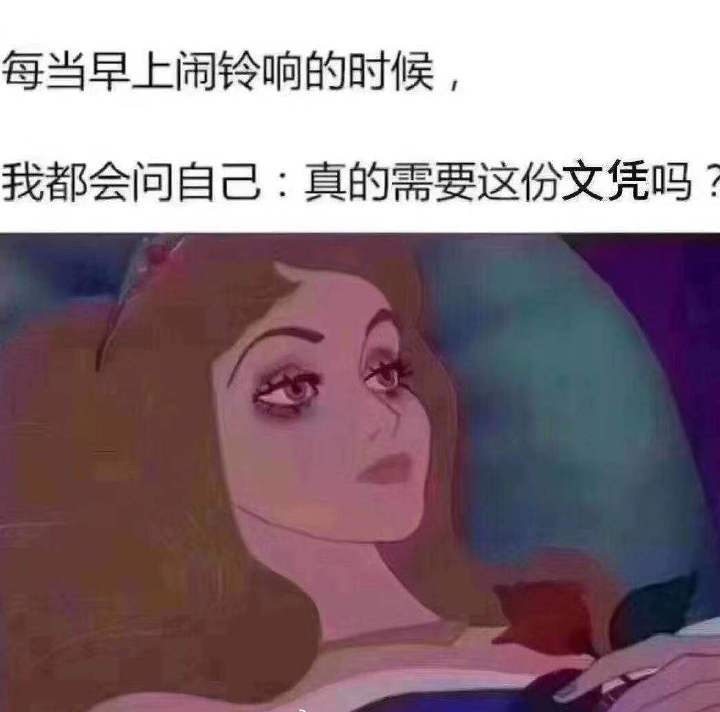 学习表情包