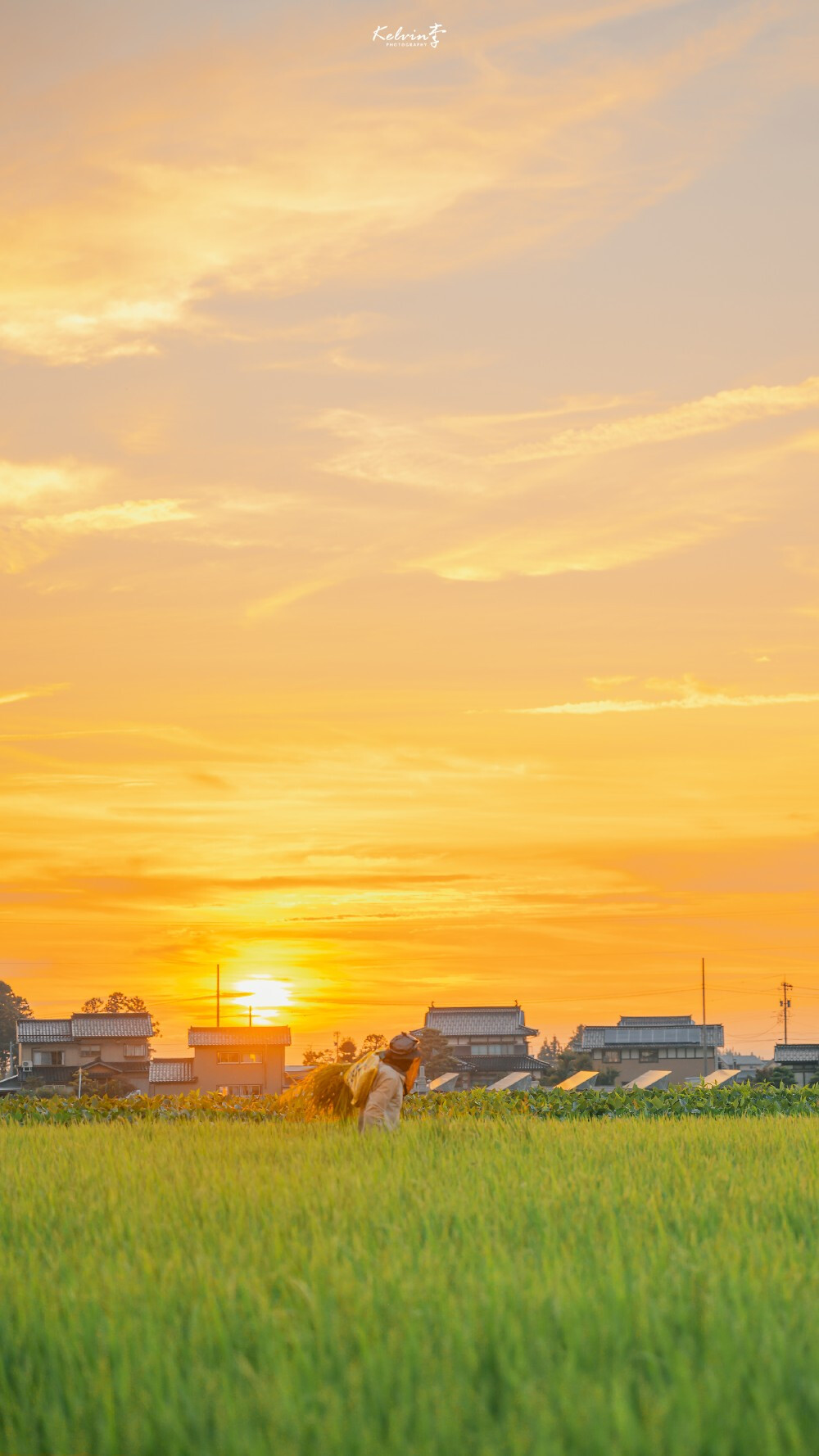 摄影‖ 田野·乡间
©kelvin李