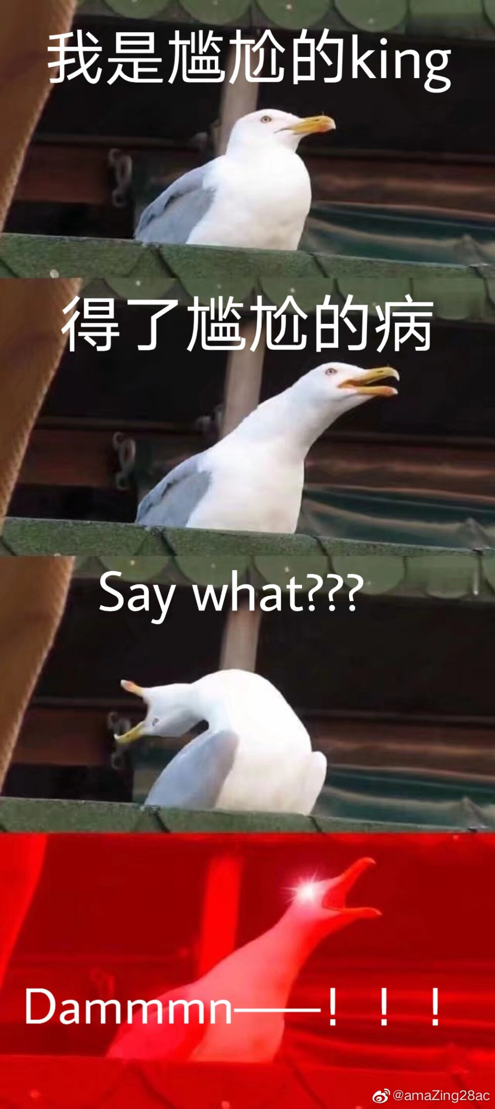 来了来了
