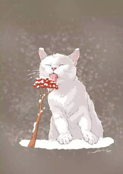 插画‖ 猫咪
画师不详
