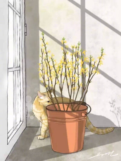 插画‖ 猫咪
画师不详
