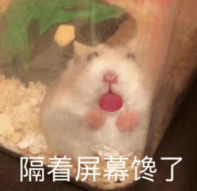 琪琪