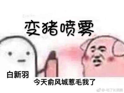 #白新羽：今天俞风城惹毛我了