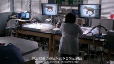 [Ellis Gery讲给Mer的道理]
-Just because you can do something...doesn't mean you should.
-你能做到，不代表你就该去做。
《Grey's Anatomy（实习医生格蕾）》