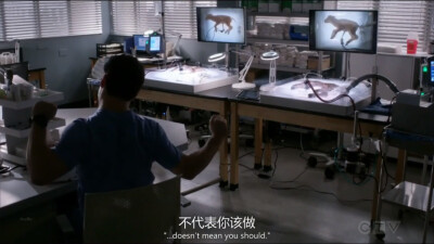 [Ellis Gery讲给Mer的道理]
-Just because you can do something...doesn't mean you should.
-你能做到，不代表你就该去做。
《Grey's Anatomy（实习医生格蕾）》